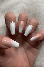 Load image into Gallery viewer, Regal