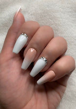 Load image into Gallery viewer, Regal